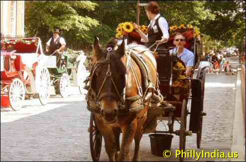 Horse drawn carriages in philly - © phillyindia.us.